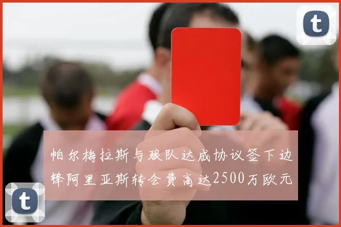 帕尔梅拉斯与狼队达成协议签下边锋阿里亚斯转会费高达2500万欧元